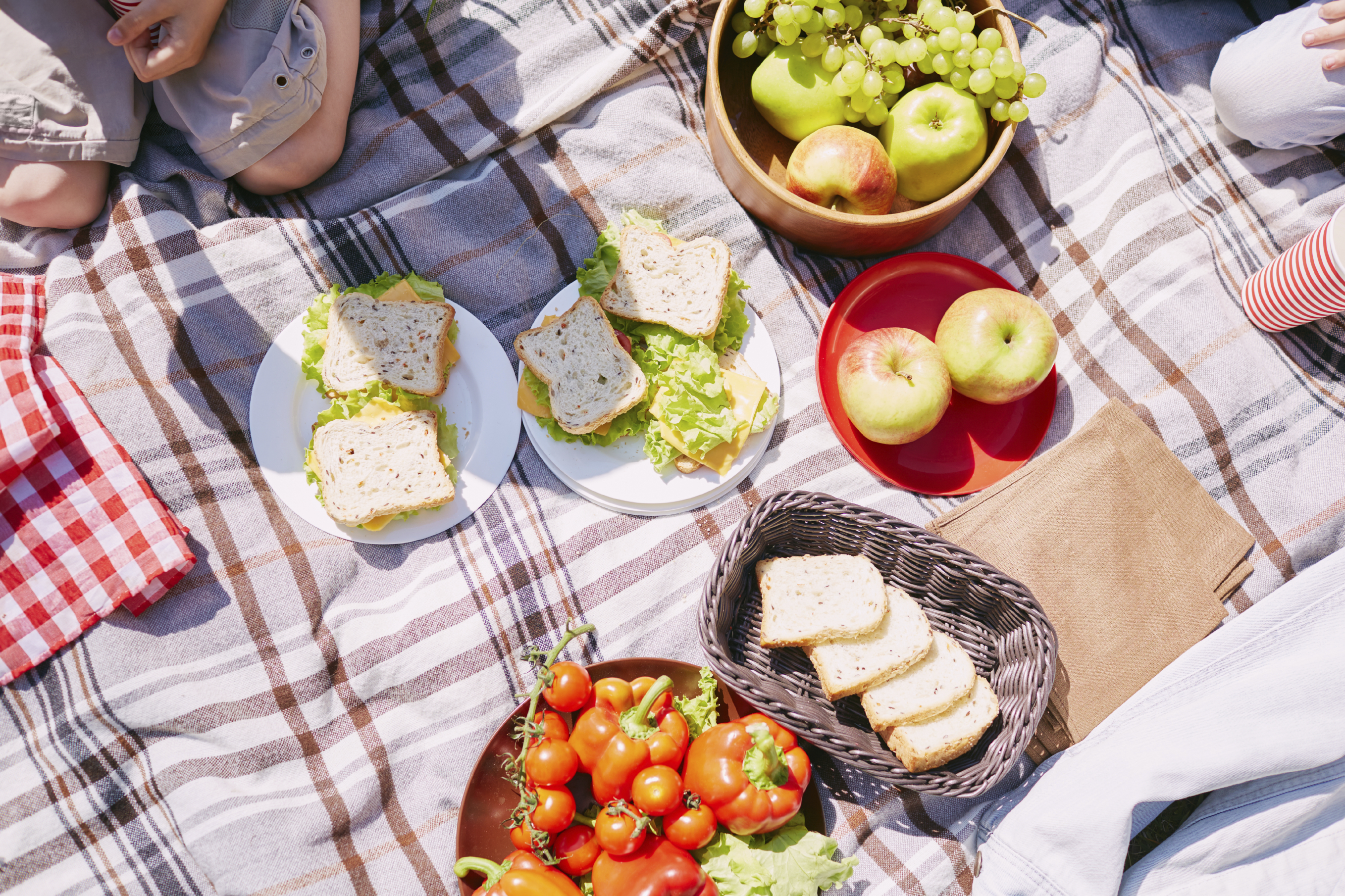 July is National Picnic Month