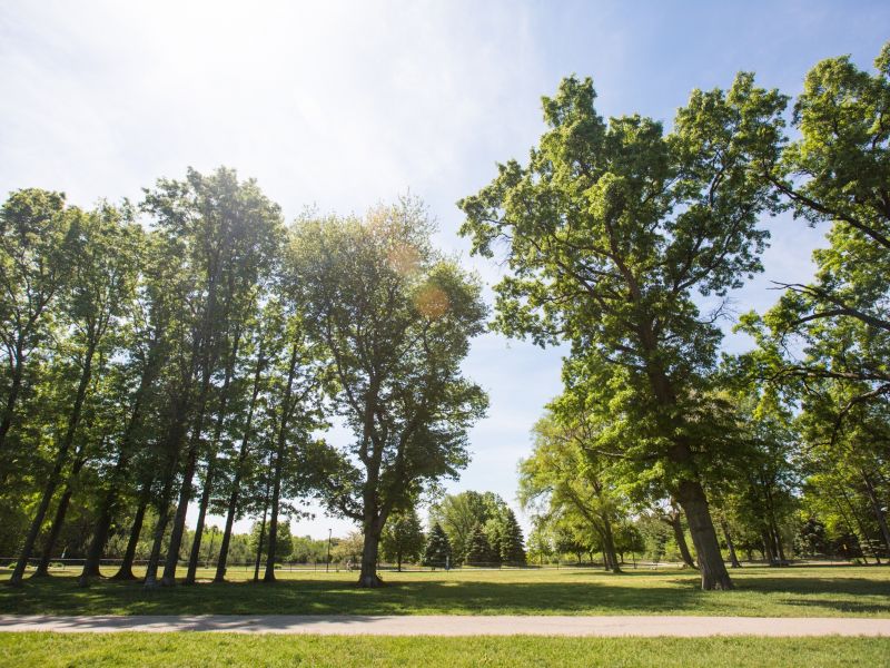 Quincy Park Dog Park