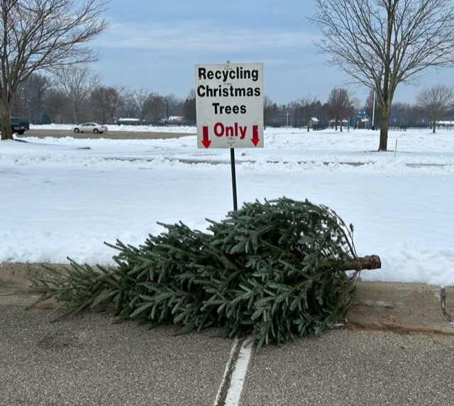 Christmas Tree Recycling 2022 QP 